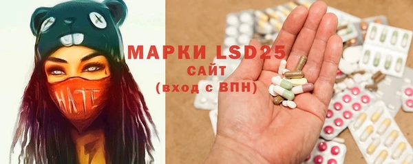 шишки Абаза