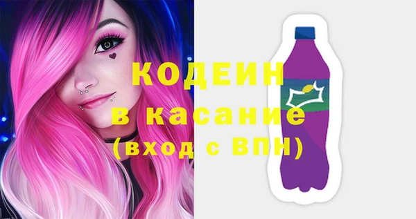 шишки Абаза