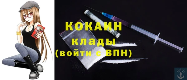 сатива Абинск