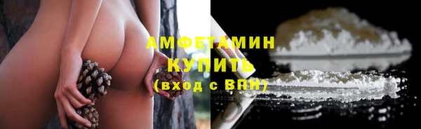 шишки Абаза