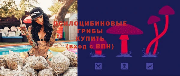 шишки Абаза
